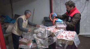 Ankara’da 16,7 Ton Uygunsuz Hayvansal Ürün İmha Edildi