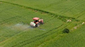 KOOP-DES 2025 Yılı Çağrı Döneminde 34,8 Milyon Liralık Hibe Desteği Sağlanacak