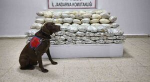 Başkale’de 60 Kilo Skunk Ele Geçirildi
