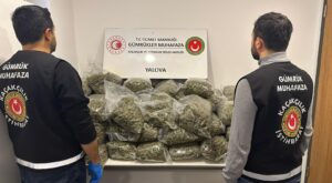 Yalova Ro-Ro Limanı’nda 39 Kilogram Esrar Ele Geçirildi