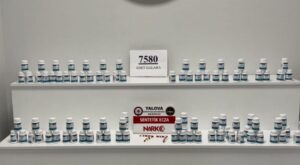 Yalova’da Narkotik Operasyonu: 6 Zehir Taciri Tutuklandı