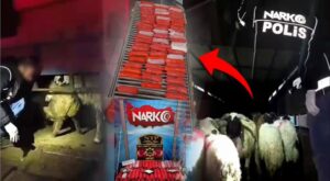 Küçükbaş Hayvanların İçine Gizlenmiş 54,6 Kilogram Metamfetamin Ele Geçirildi