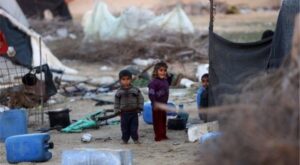 Gazze’de Salgın Alarmı: Kemirgen Tehdidi Halk Sağlığını Tehdit Ediyor