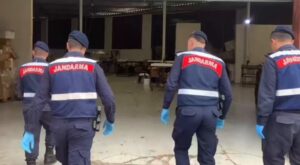 17 İlde Sahte ve Kaçak Alkole Büyük Darbe: 95 Bin Litreden Fazla Alkol Ele Geçirildi