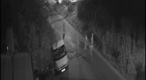 Zonguldak’ta Üç Kişinin Hayatını Kaybettiği Bıçaklı Saldırıya Ait Görüntüler Dosyaya Girdi