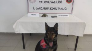 Yalova’da Uyuşturucu Operasyonu: Kadıköy Beldesinde 2 Şüpheli Yakalandı