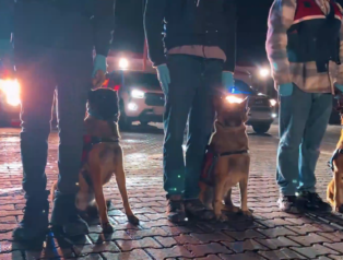 İstanbul Merkezli 20 İlde Dev Dolandırıcılık Operasyonu: 73 Gözaltı, 50 Milyon TL’lik Vurgun