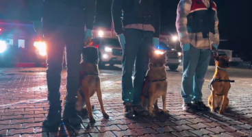 İstanbul Merkezli 20 İlde Dev Dolandırıcılık Operasyonu: 73 Gözaltı, 50 Milyon TL’lik Vurgun