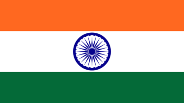 Hindistan’da Ambulans Uçak Düştü: 7 Ölü