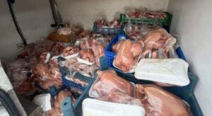 Van’da sağlık ve sevk belgeleri bulunmayan 200 tavuk ele geçirildi