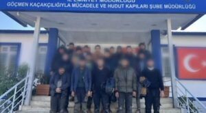 Hayvan Dışkısıyla Kamufle Edildiler