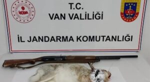 Van’da Kaçak Tavşan Avına 29 Bin TL Ceza