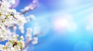 Baharın Müjdecisi İkinci Cemre Suya Düşüyor