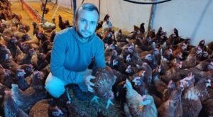 KÖYÜNE DÖNDÜ GEZEN TAVUK YUMURTA ÜRETİCİSİ OLDU