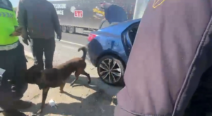 Gaziantep’te Otoyol Jandarmasından Uyuşturucu Operasyonu: 3 Gözaltı