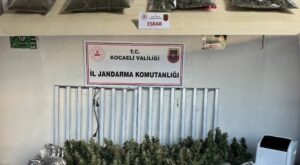 Kocaeli’de İklimlendirmeli Uyuşturucu Seralarına Darbe