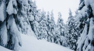 Doğu Anadolu’da Kar Esareti: 279 Yol Kapandı