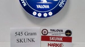 Yalova’da Narkotik Operasyonu: 6 Gözaltı, 1 Tutuklama