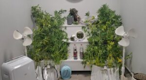 Aranan Hükümlüye Narkotik Operasyonu: Uyuşturucu İmalathanesi Ortaya Çıkarıldı