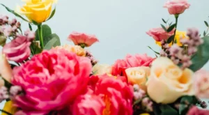 Türkiye’den 35 Ülkeye 80 Milyon Dal Çiçek