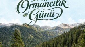 Bakan Yumaklı’dan 21 Mart Dünya Ormancılık Mesajı