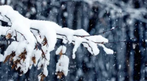 Ordu’da Kar Nedeniyle Eğitime Ara Verildi