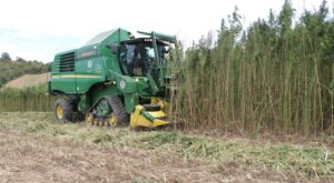 Samsun Tarımda Şahlanıyor: Üreticiye Milyarlık Destek, Ekonomiye Dev Katkı