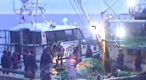 İstanbul Açıklarında Dev Operasyon: 200 Kilogram Uyuşturucu Ele Geçirildi