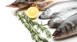 Balıkçılıkta Av Yasağı 15 Nisan’da Başlıyor: Kurallara Uymayanlara Geçit Yok