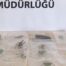 Adıyaman’da Çekirge Toplayan 3 Yabancı Uyruklu Şahsa 2 Milyon 97 Bin Lira Ceza